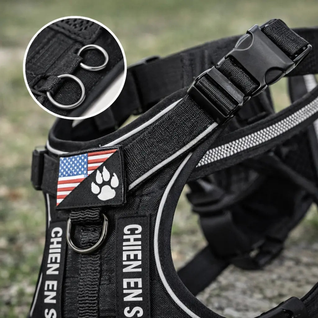 Harnais pour chien randonnée - Avec système de maintien renforcé