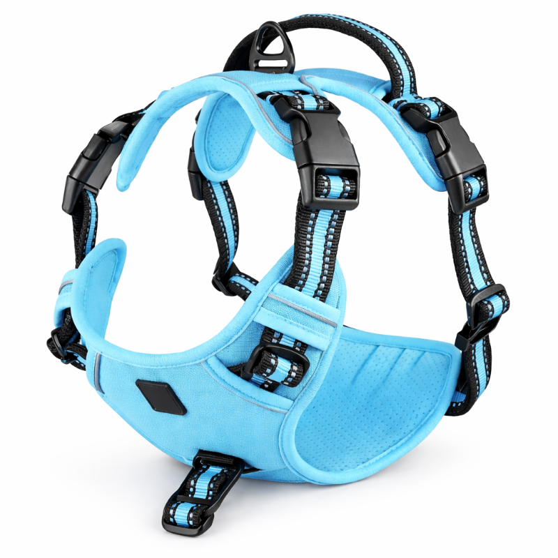 harnais pour chien bleu 
