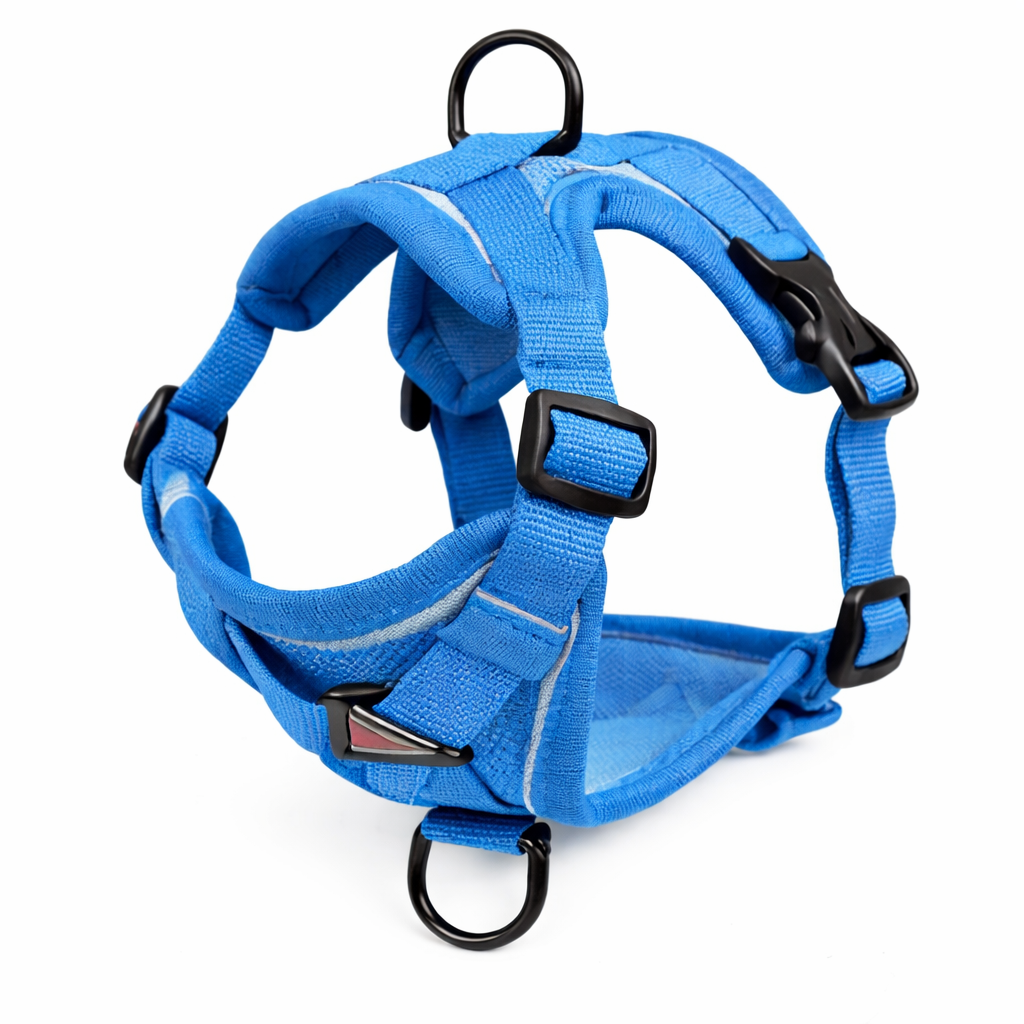 Harnais pour petit chien