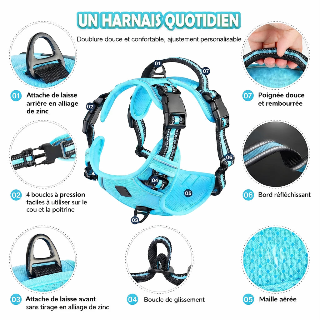 Harnais chien -  ajustable & anti-traction