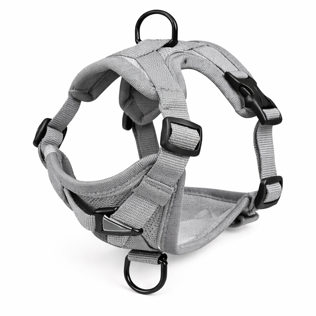 Harnais pour petit chien