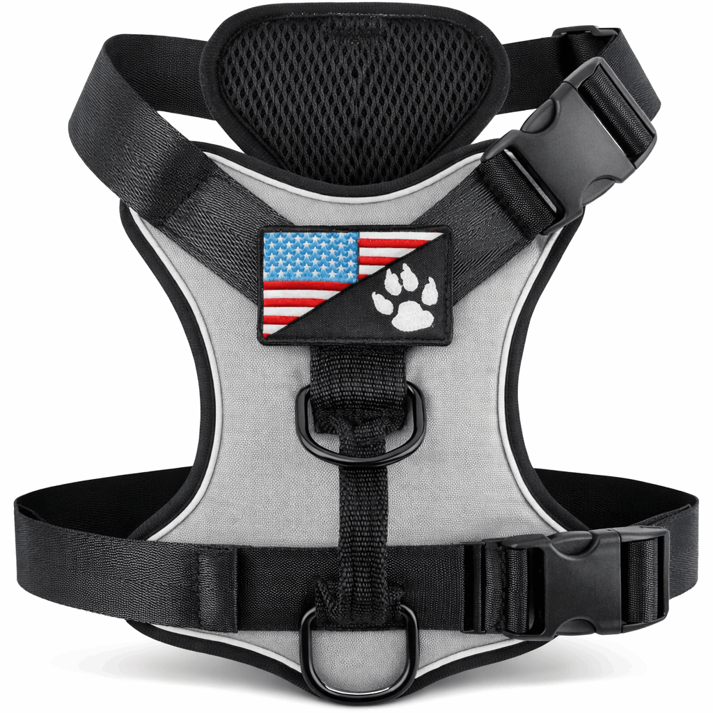 Harnais pour chien randonnée - Avec système de maintien renforcé