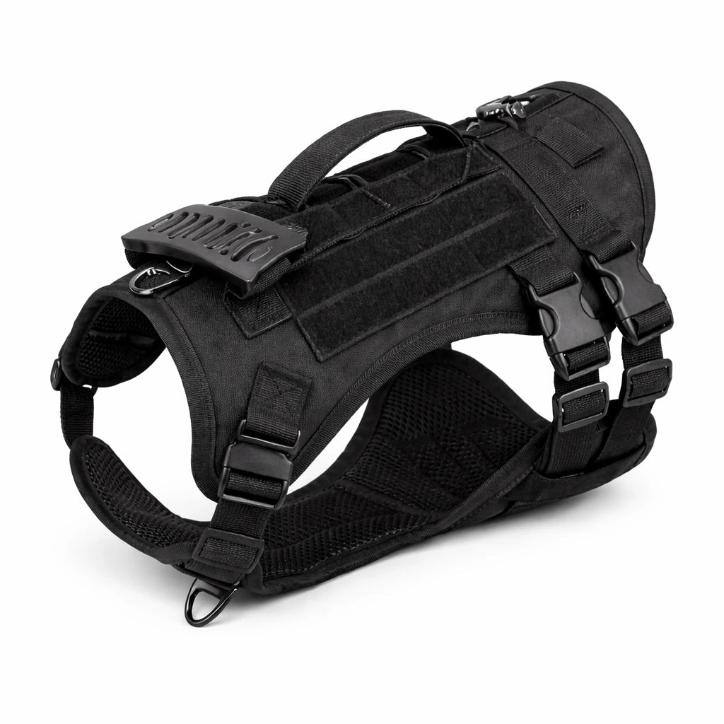 Harnais noir pour grand chien 
