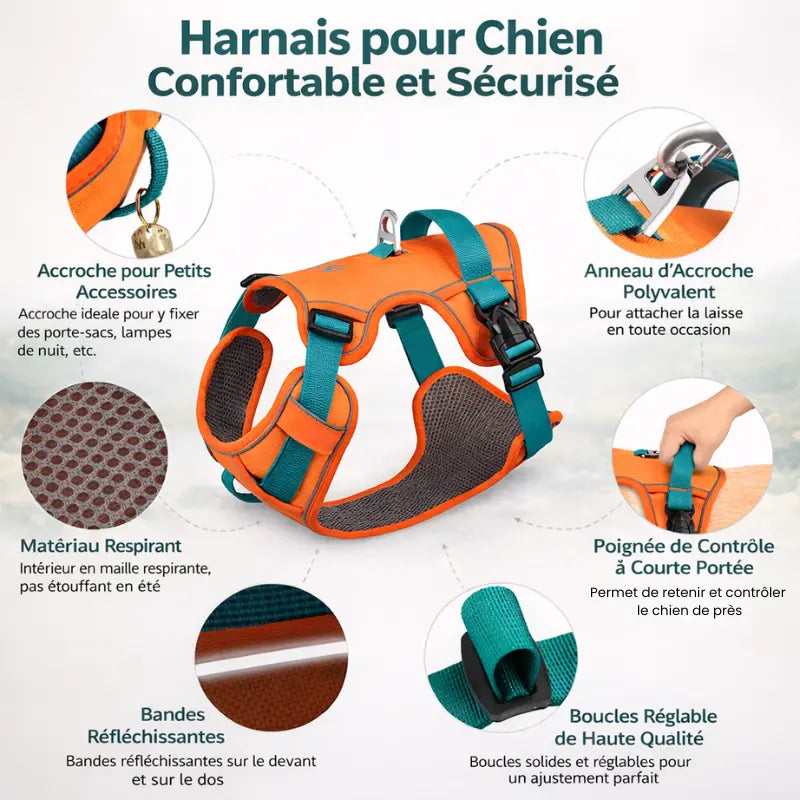 Harnais pour chien en H