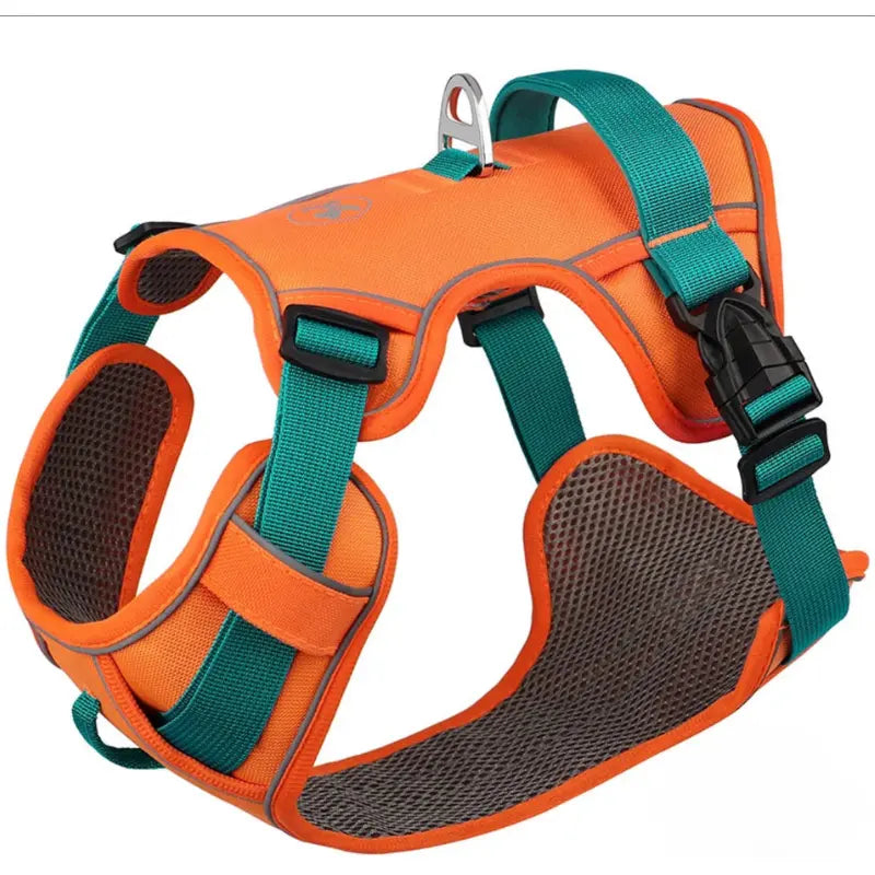 Harnais pour chien orange