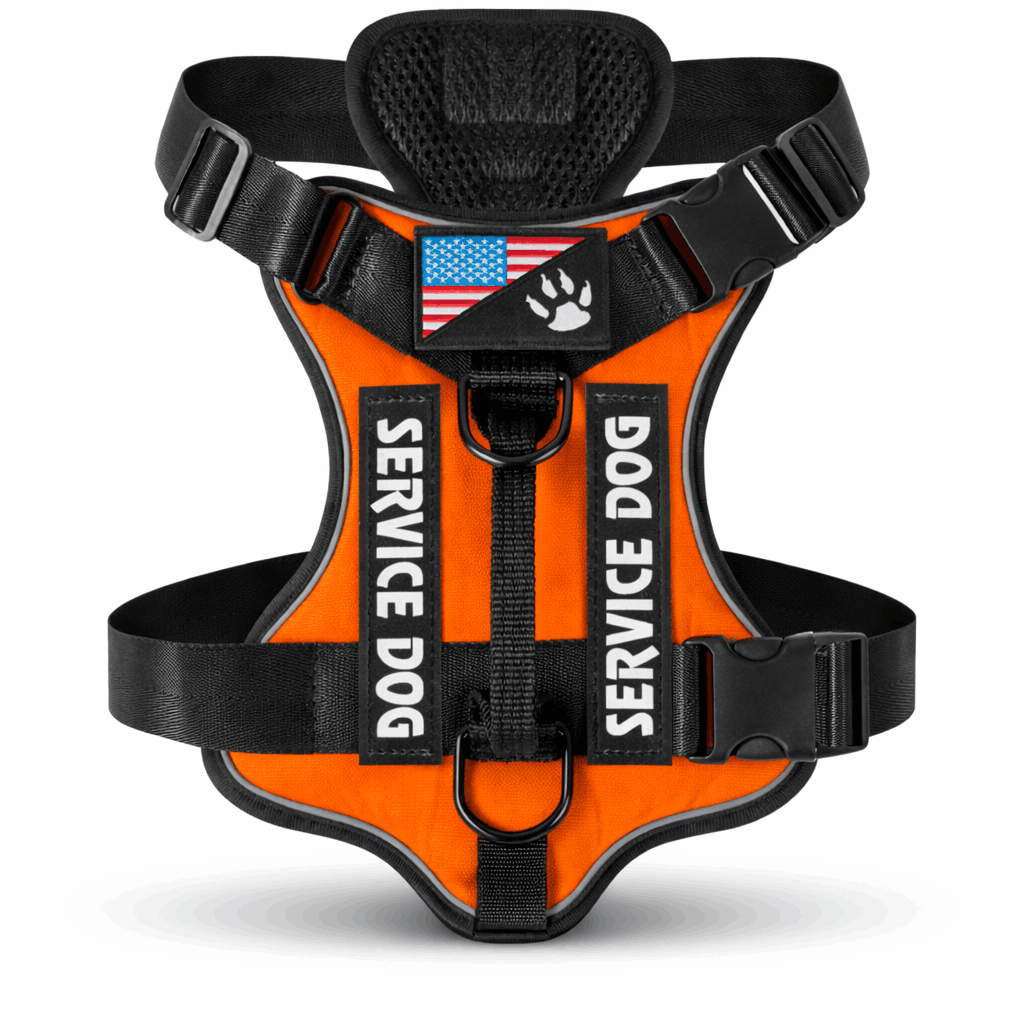 Harnais pour chien randonnée - Avec système de maintien renforcé