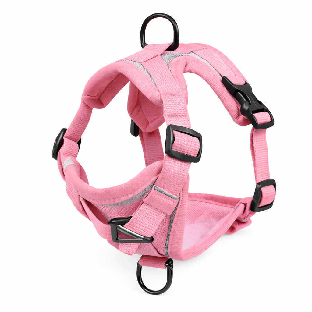 Harnais pour petit chien