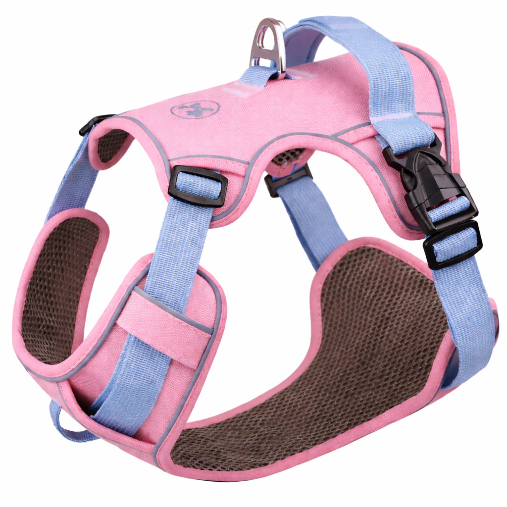 harnais pour chien rose et violet