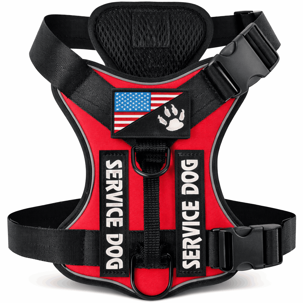 Harnais pour chien randonnée - Avec système de maintien renforcé