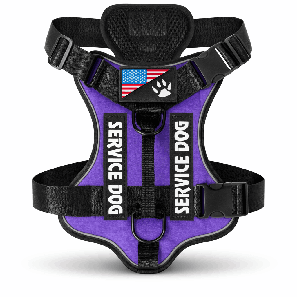 Harnais pour chien - Avec système de maintien renforcé