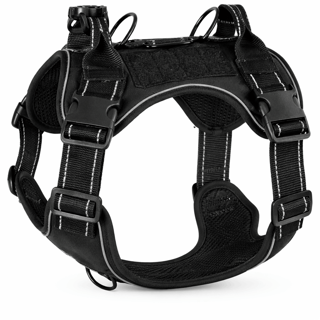 harnais pour grand chien noir sur fond blanc 