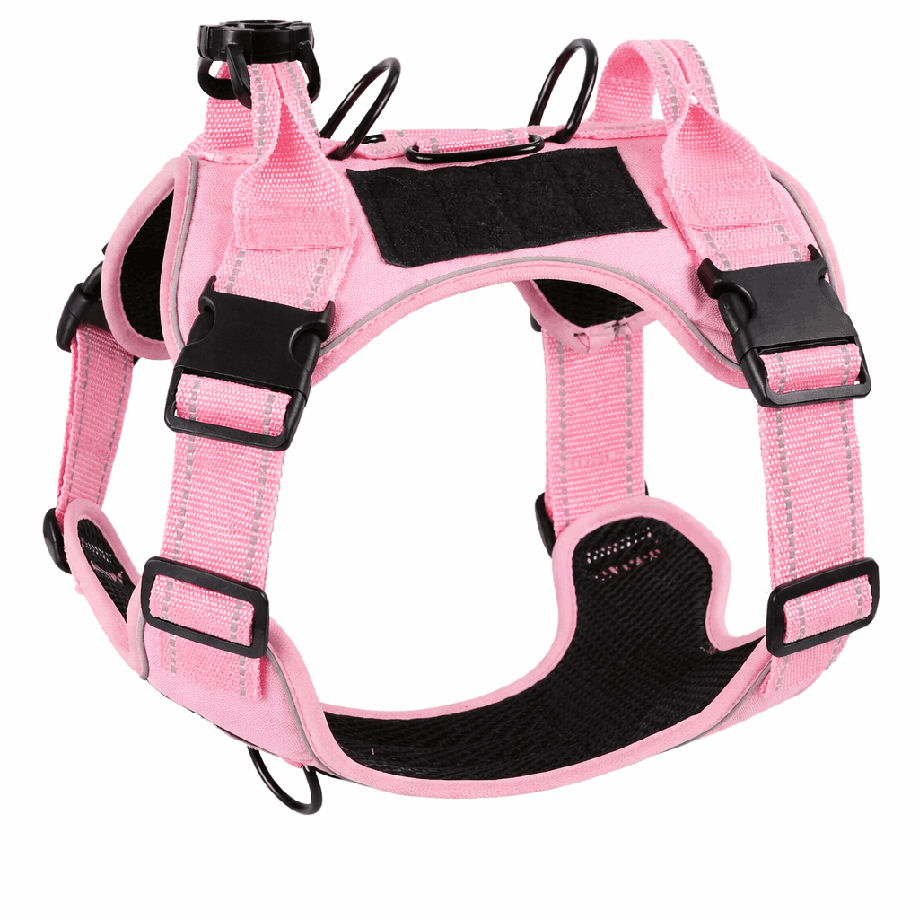 harnais pour grand chien rose et noir sur fond blanc 