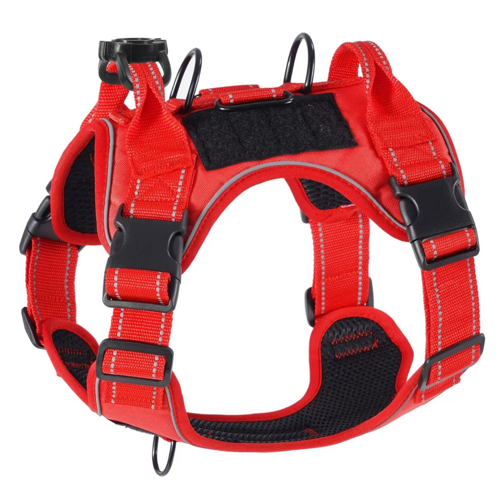 grand harnais pour chien rouge sur fond blanc 