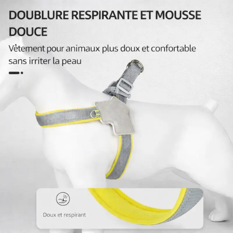 Harnais pour chien - Conception en Y