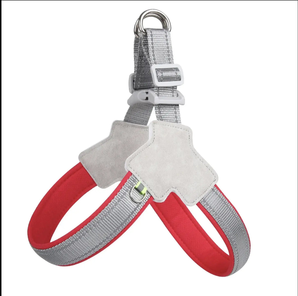 Harnais pour chien en voiture & en Y