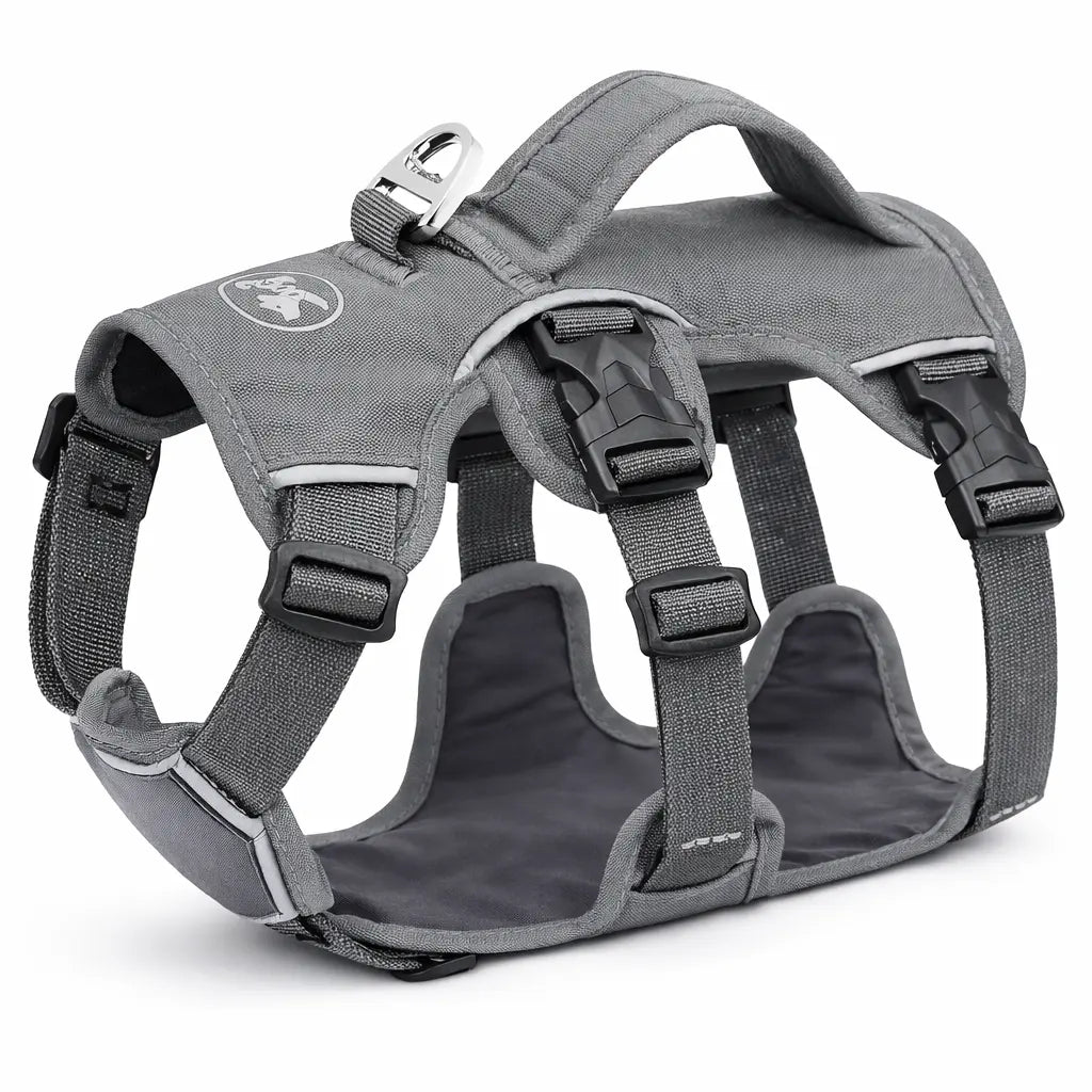 harnais pour chien gris avec motif 