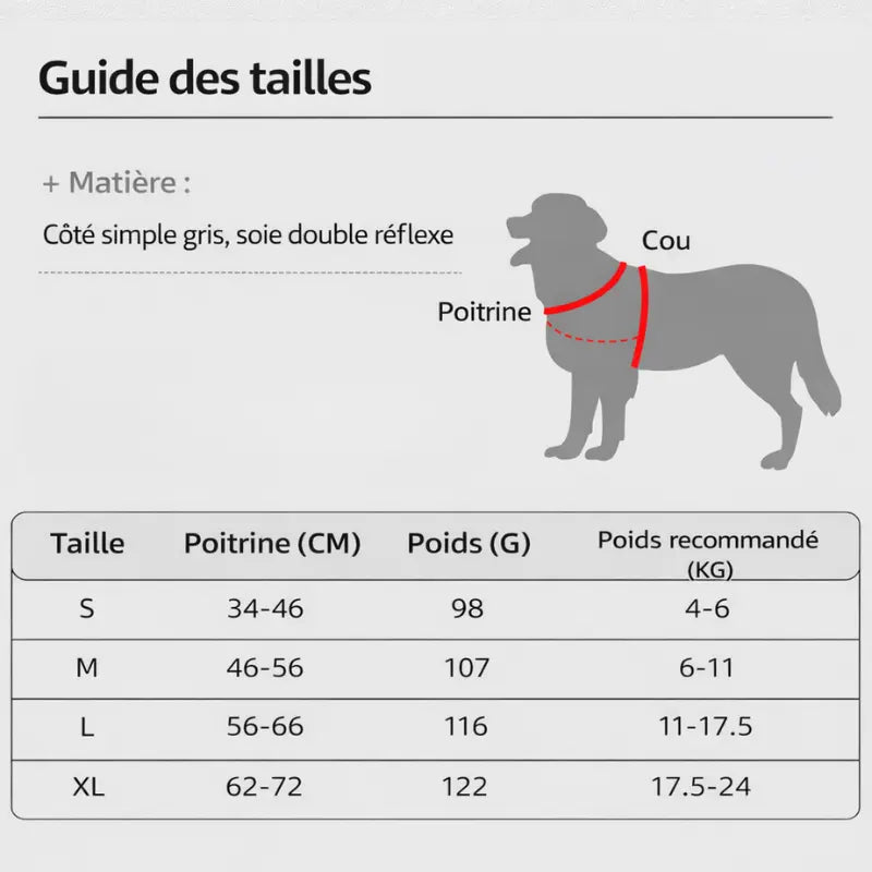 Harnais pour chien - Conception en Y