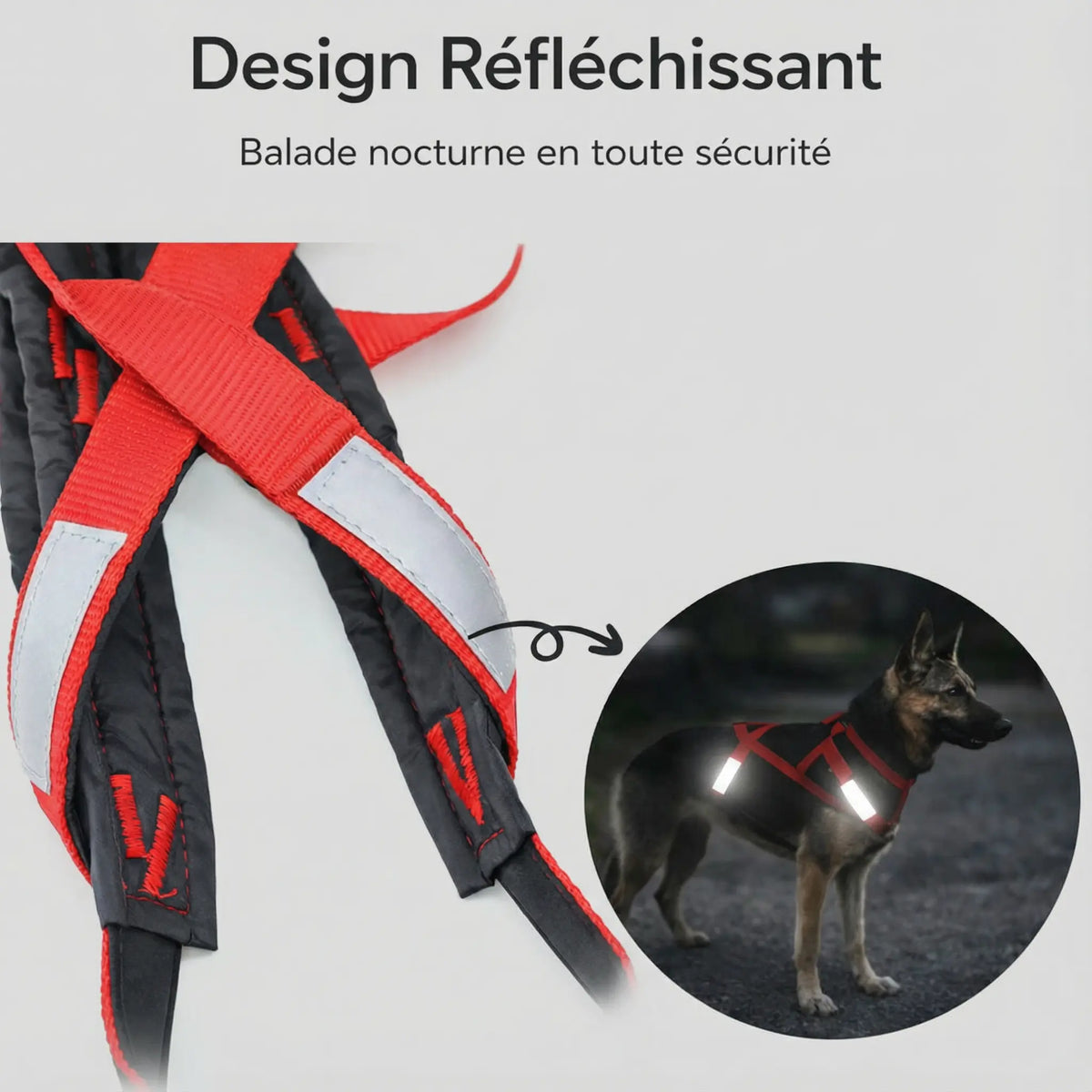 Harnais pour chien randonnée - canicross