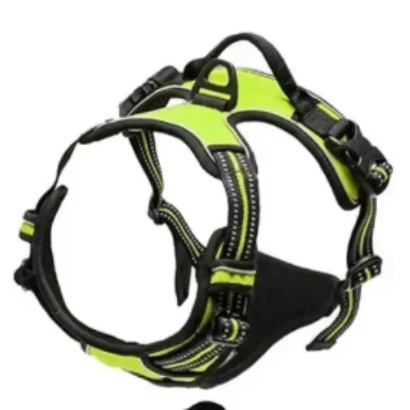 Harnais chien lumineux pour promenade