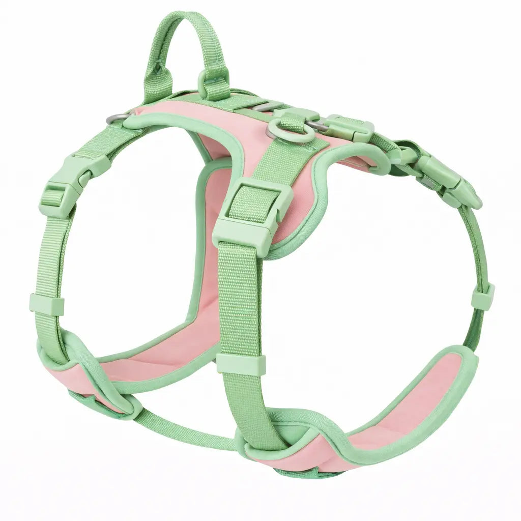 Harnais pour chien - Ajustable