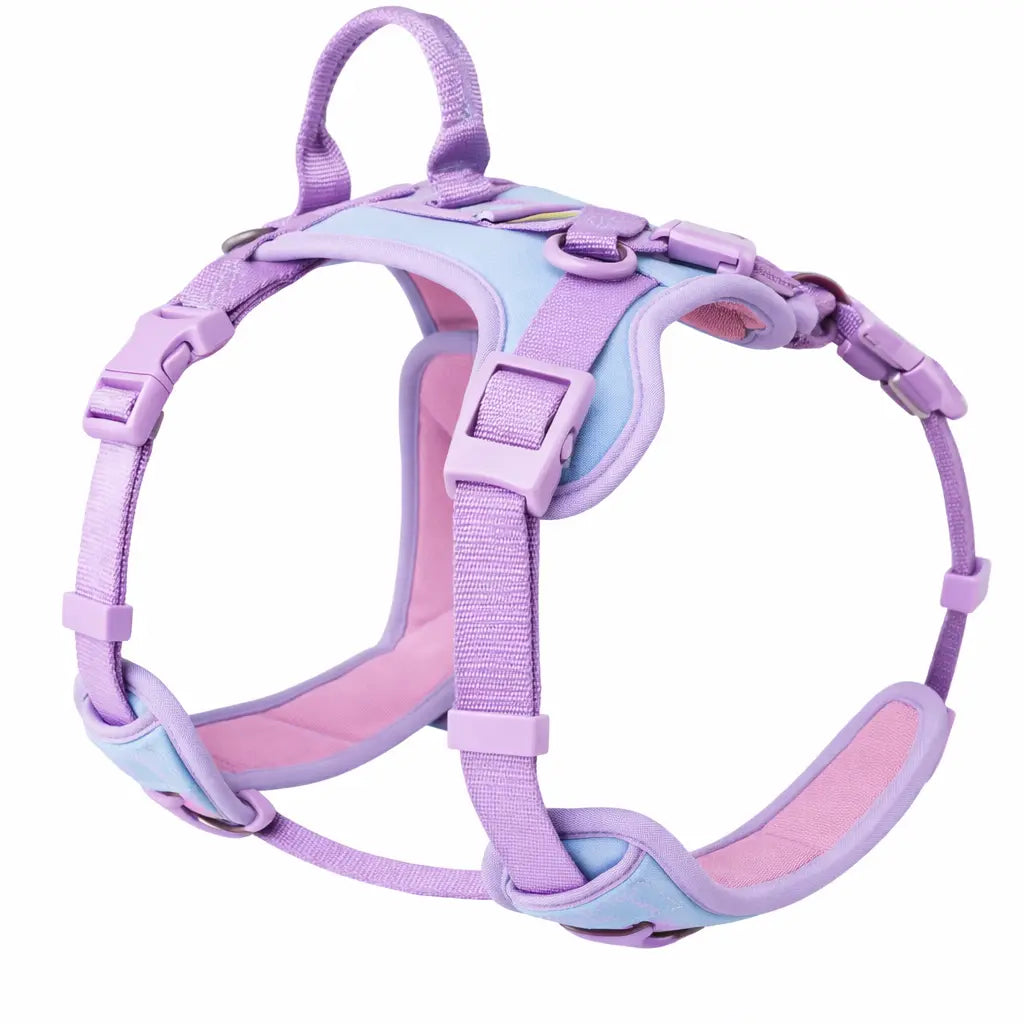 Harnais pour chien - Ajustable