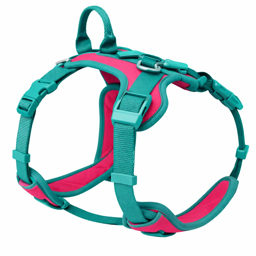 Harnais pour chien - Ajustable