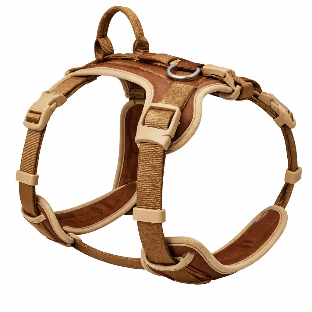Harnais pour chien - Ajustable