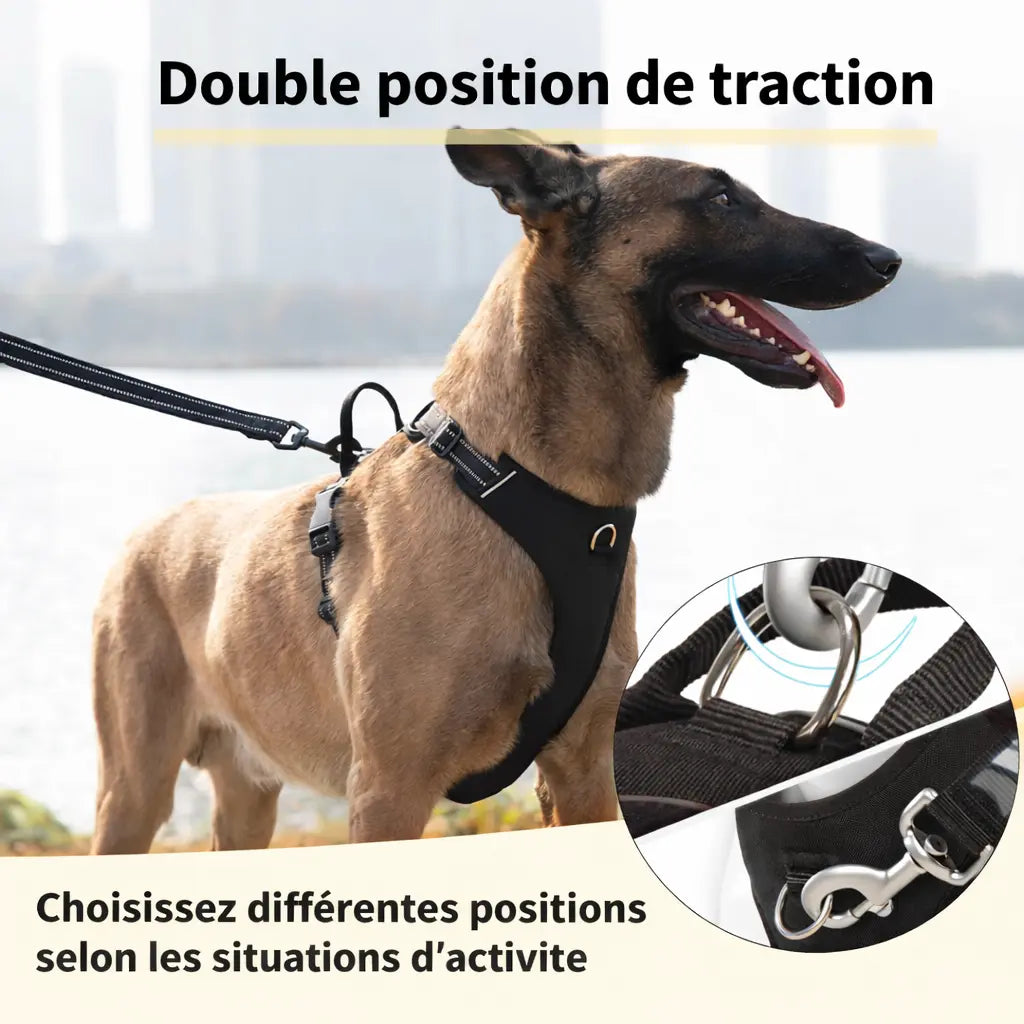Harnais pour chien - fermeture à dégagement rapide