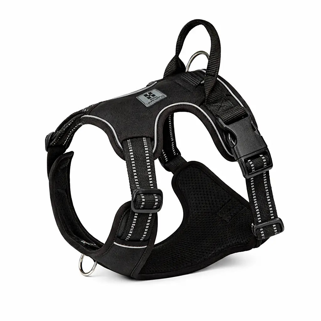 Harnais pour chien - fermeture à dégagement rapide
