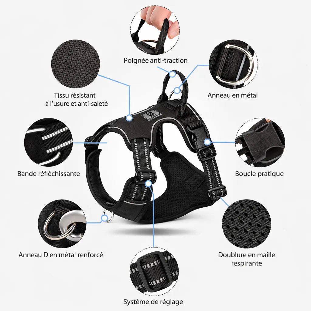 Harnais pour chien - fermeture à dégagement rapide