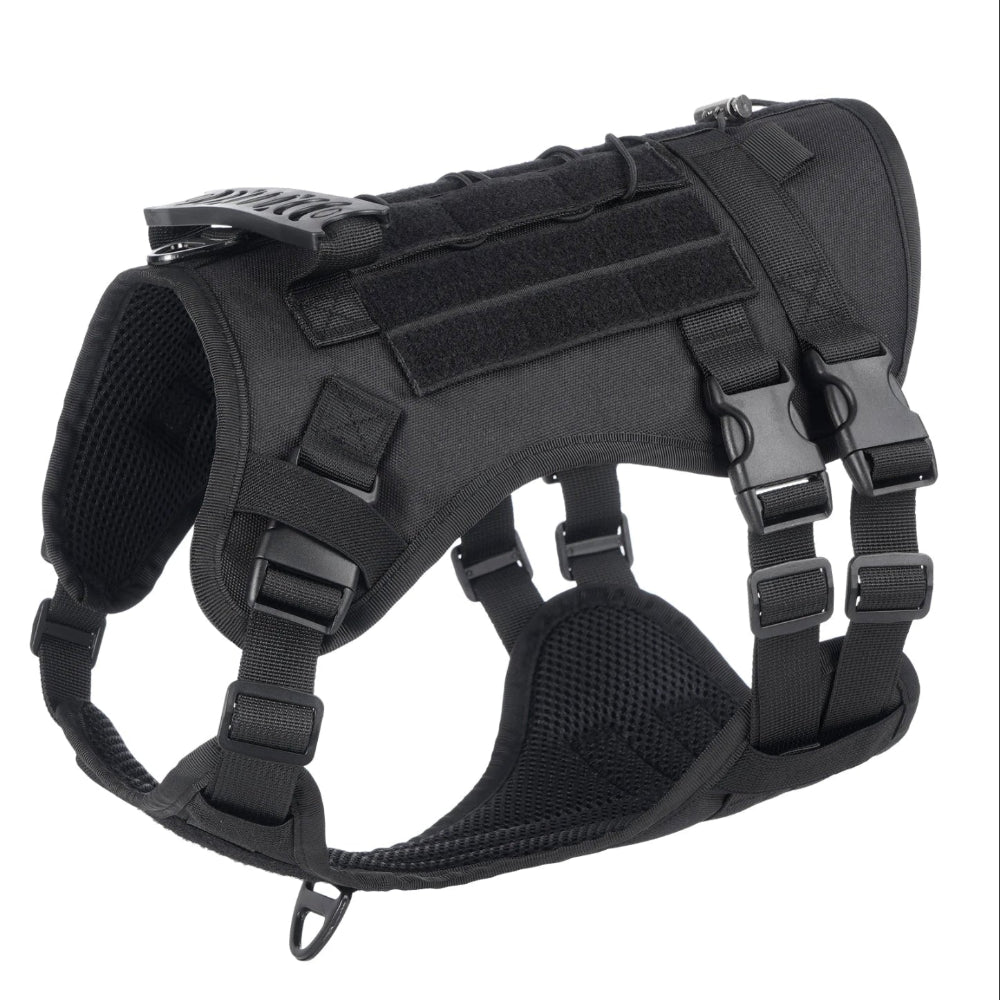 Harnais noir pour chien 