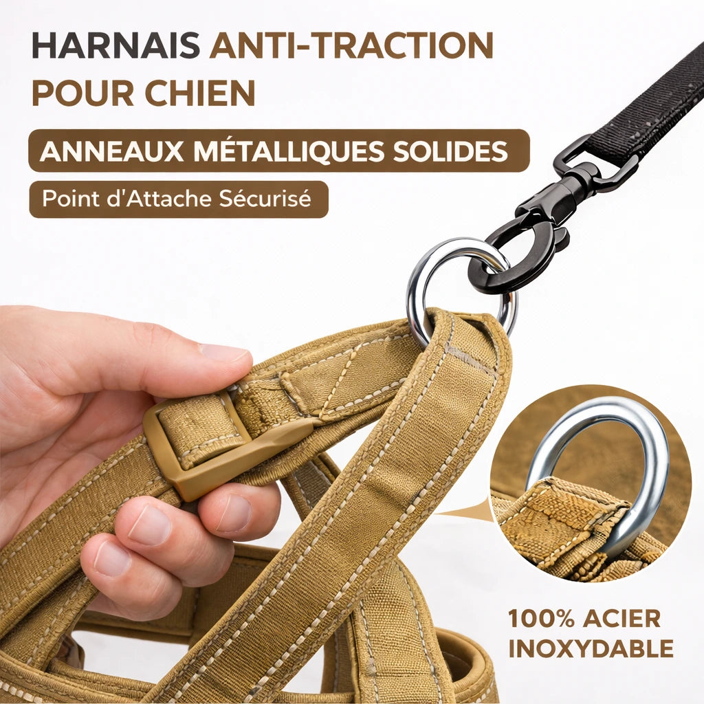 Harnais pour chien anti-traction