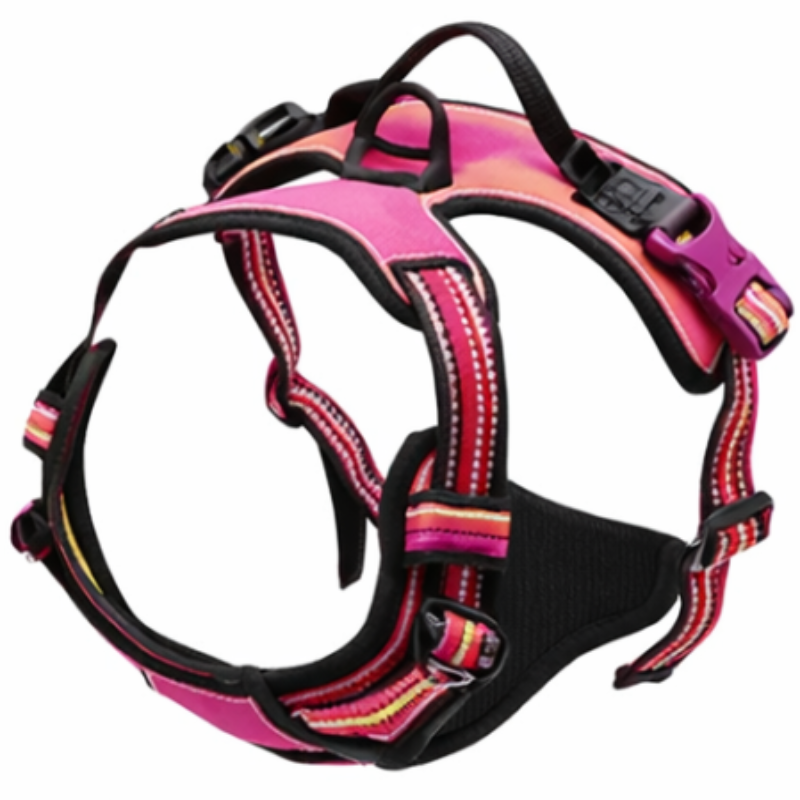 Harnais pour chien - anti-traction et promenade