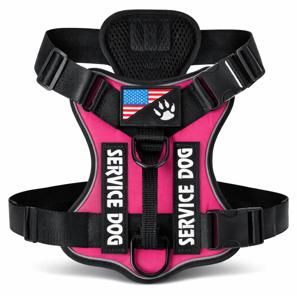 Harnais pour chien randonnée - Avec système de maintien renforcé