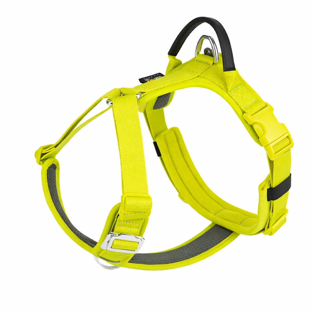 Harnais pour chien - Anti-traction & Réfléchissant