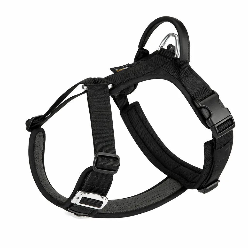 Harnais pour chien - Anti-traction & Réfléchissant