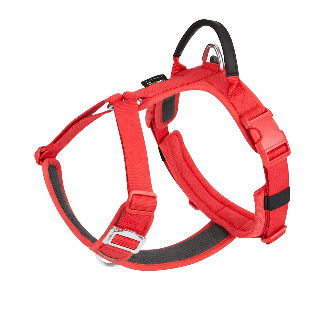 harnais pour chien rouge 
