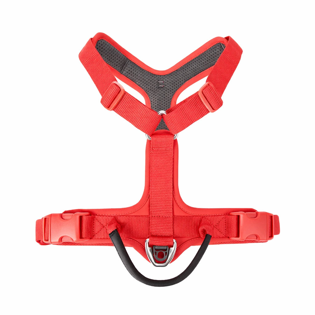 harnais pour chien rouge et noir