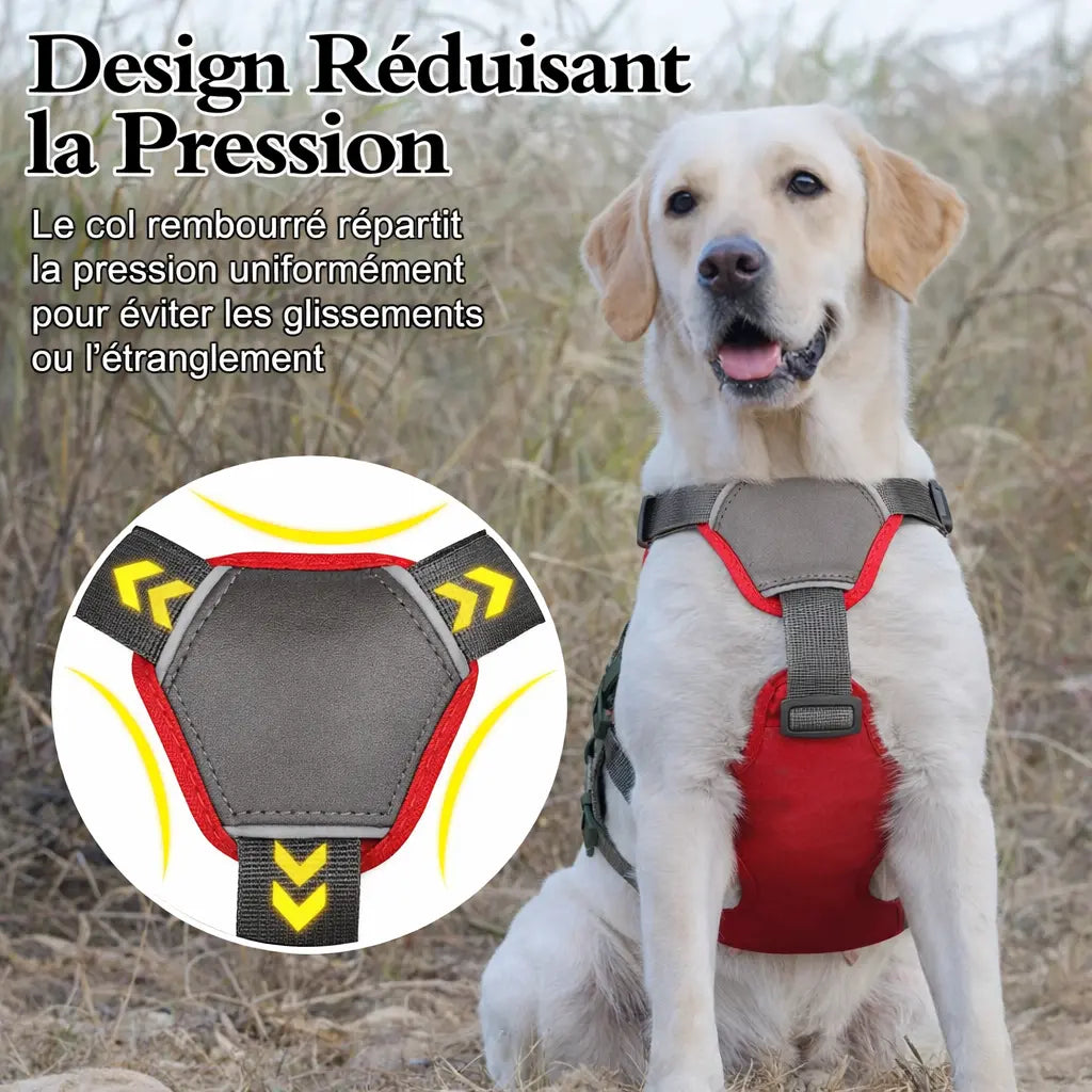 Harnais pour chien en H - Imperméable