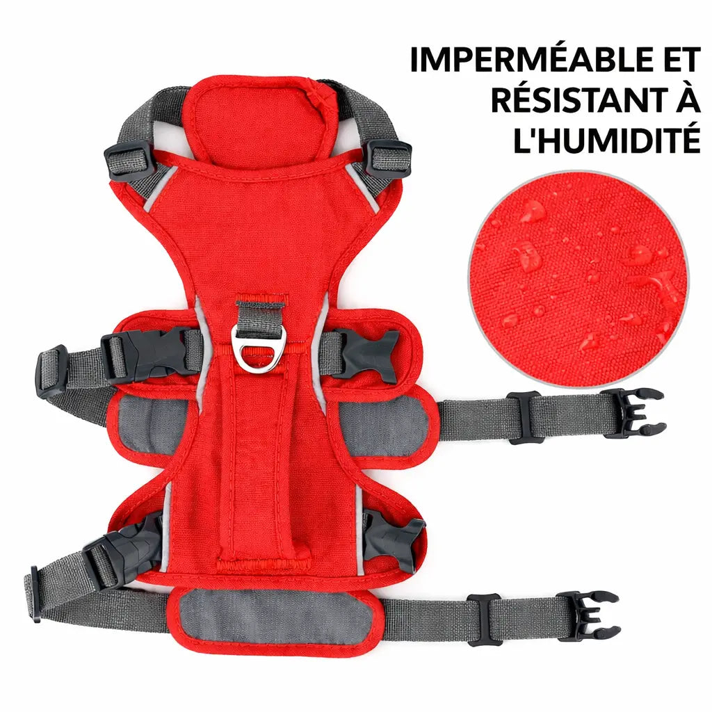 Harnais pour chien en H - Imperméable