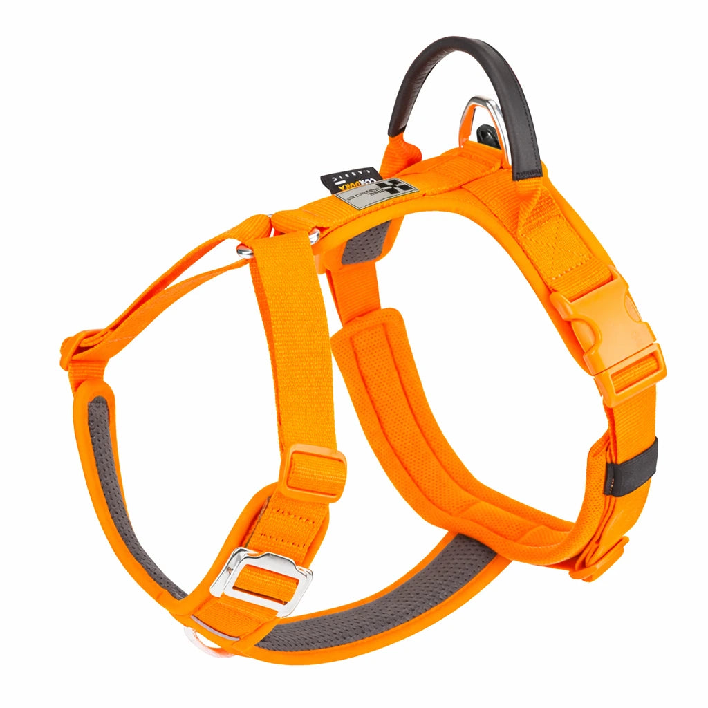 Harnais pour chien orange 
