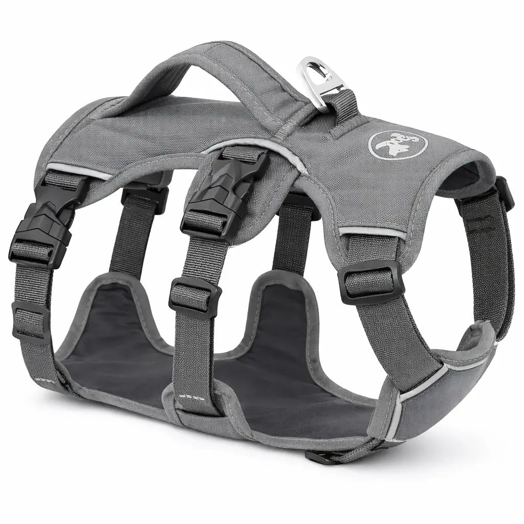 harnais pour chien gris 