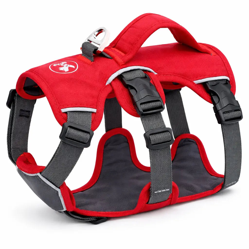 harnais pour chien rouge avec motif