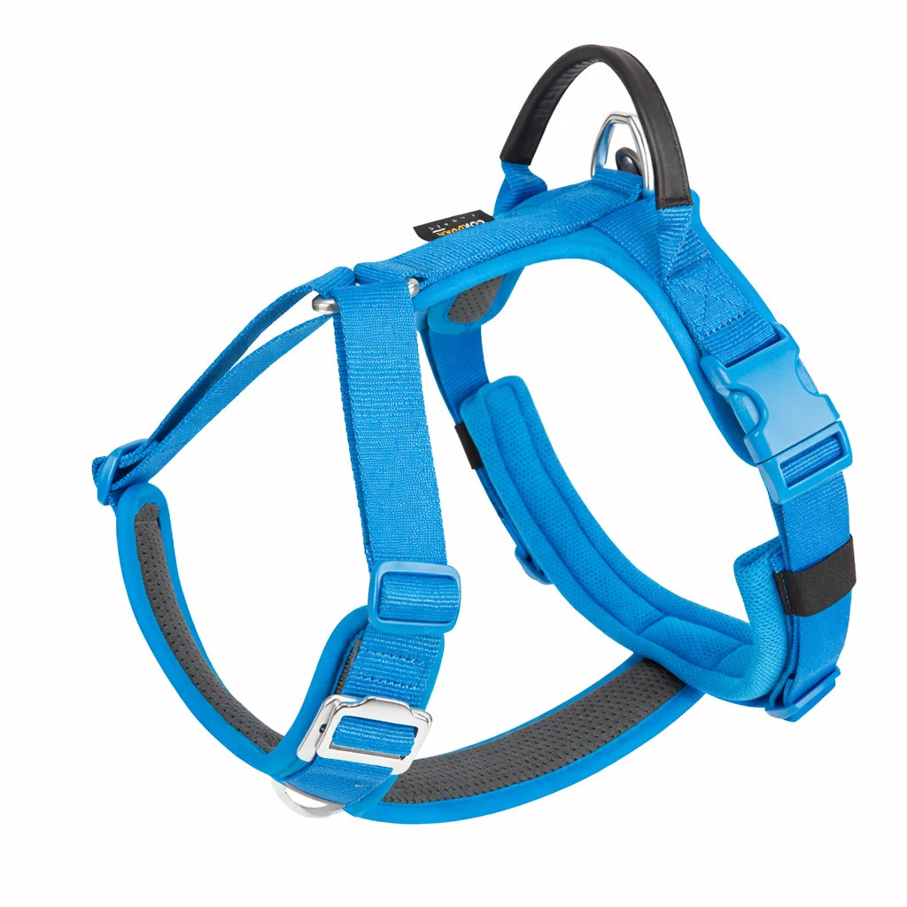 harnais bleu pour chien 