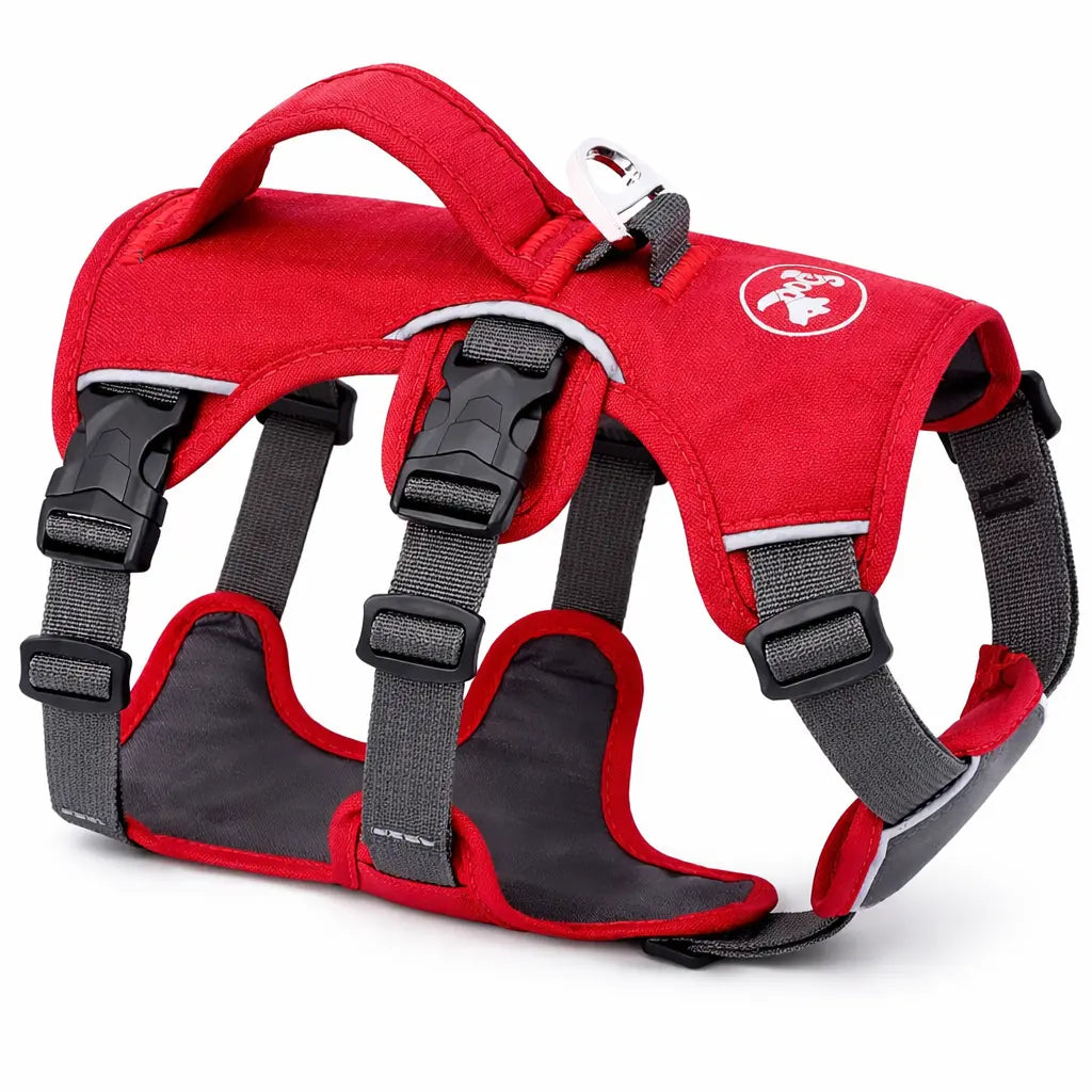 harnais pour chien randonnée rouge