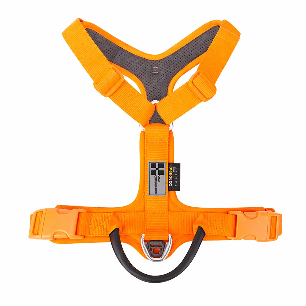 harnais pour chien orange 