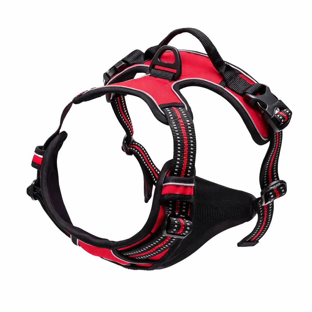 Harnais anti-traction pour chien & confortable