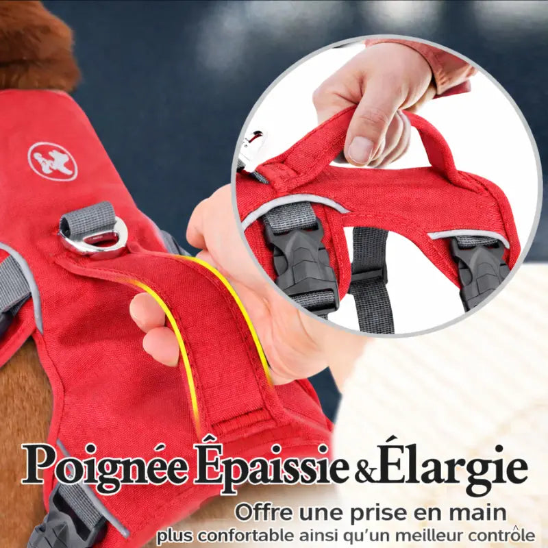 Harnais pour chien en H - Imperméable