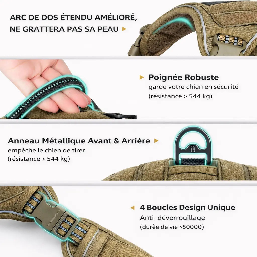 Harnais pour grand chien - anti-traction