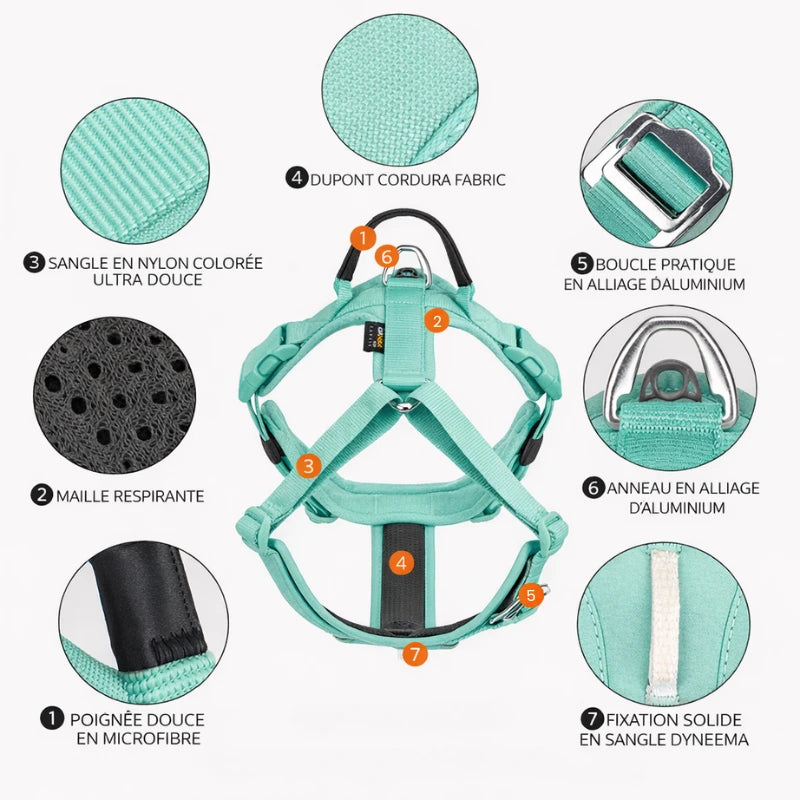 caractérstiques d'un harnais pour chien 